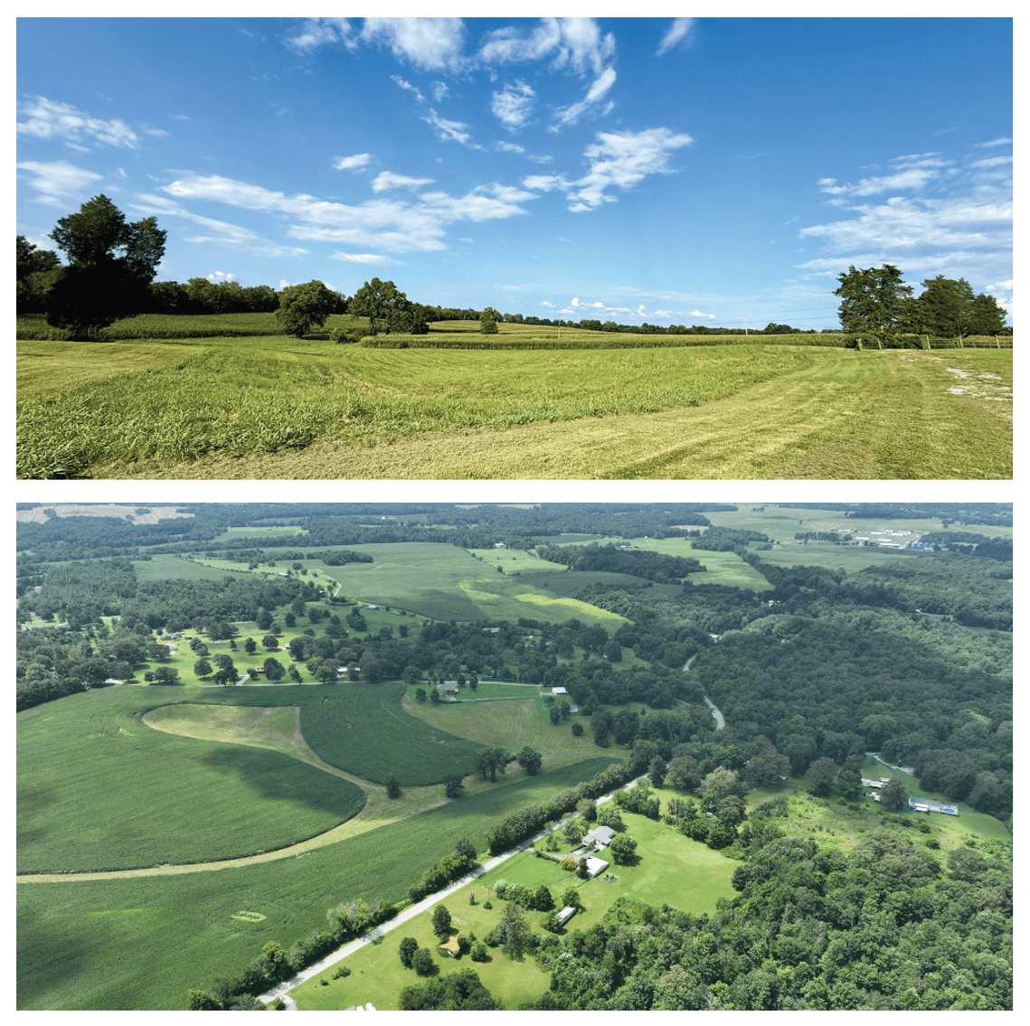 Image for 180 South Tanyard Rd., Cadiz, KY 42211 Auction