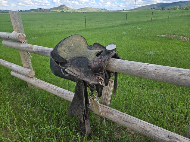 Image for Saddle & Steel Consignment Auction - June 17th