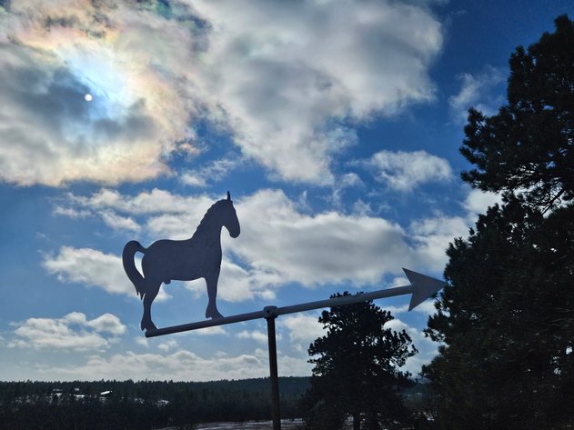 Image for FrostBID RING 2 ~ Equip/Misc - Jan 27th