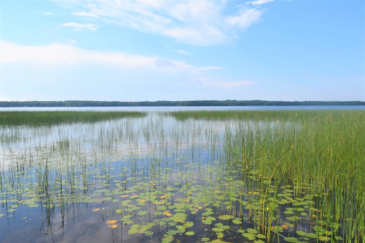 Image for 14± Acres, Waterfront Property on Sand Lake, Near Stone Lake - Sawyer County, WI