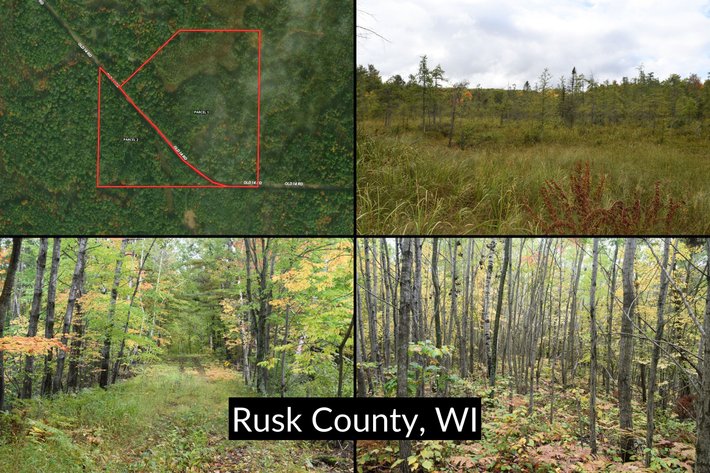 Image for 35± Acres Offered in 2 Parcels, Wooded Recreational Land near Weyerhaeuser - Rusk County, WI