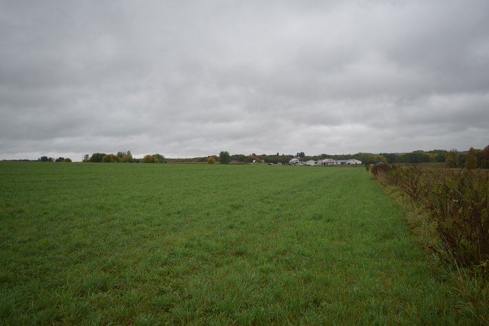 Image for 100± Acres, Tillable & Recreational Land, Frontage on Big Eau Pleine River, Stratford - Marathon County, WI