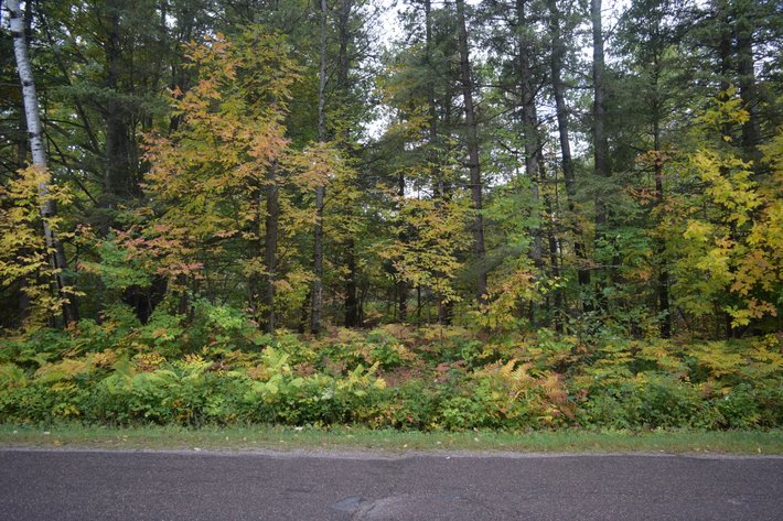 Image for 35± Acres Offered in 2 Parcels, Wooded Recreational Land near Weyerhaeuser - Rusk County, WI