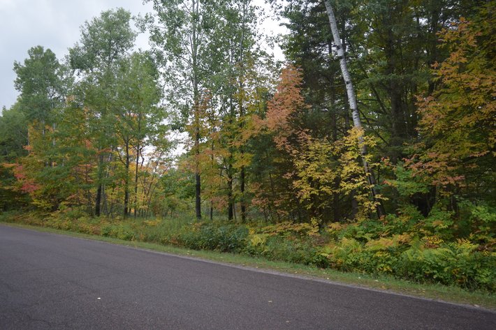 Image for 35± Acres Offered in 2 Parcels, Wooded Recreational Land near Weyerhaeuser - Rusk County, WI