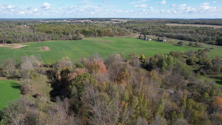 Image for 20± Acres Tillable and Recreational Land, Offered in 2 Parcels near Clam Falls - Polk County, WI