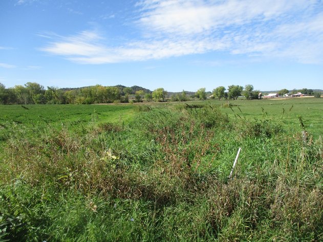 Image for 30.33± Acres Vacant Land, Frontage on Willow Creek, Partially Tillable and Pasture Land - Richland Center, WI