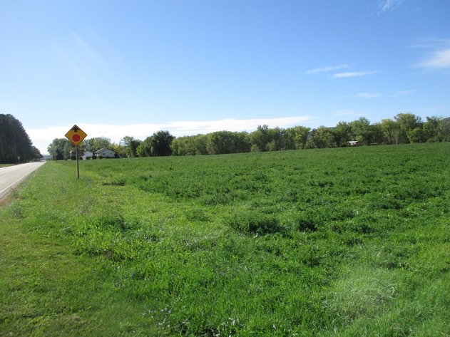 Image for 30.33± Acres Vacant Land, Frontage on Willow Creek, Partially Tillable and Pasture Land - Richland Center, WI