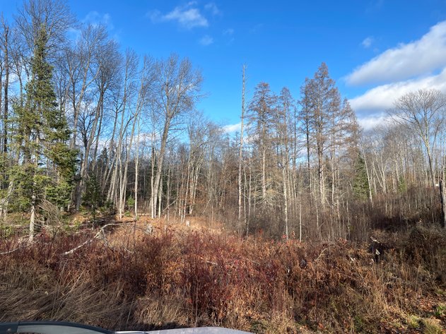 Image for 4 Vacant Land Parcels, Lender-Owned, Commercial, Residential & Recreational Options from 0.25± Acre up to 6.38± Acre Lots in Bayfield County - Iron River, WI