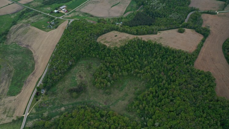 Image for 95± Acre Multiuse Farm Offered in 4 Parcels Near Elroy - Monroe County, WI