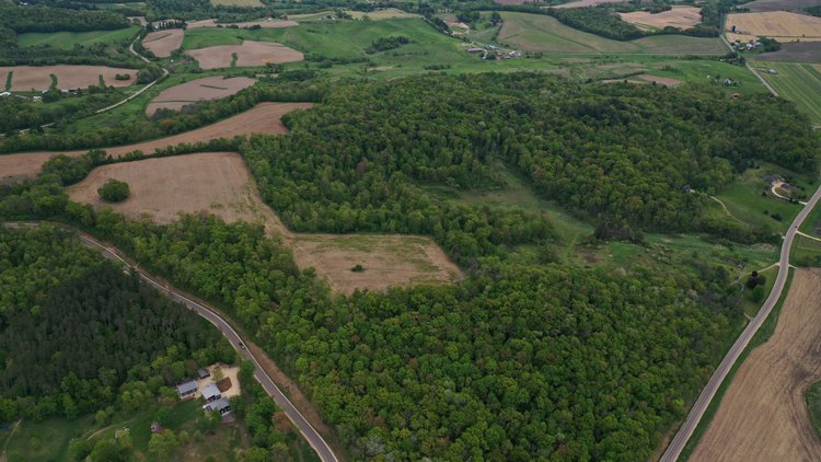 Image for 95± Acre Multiuse Farm Offered in 4 Parcels Near Elroy - Monroe County, WI