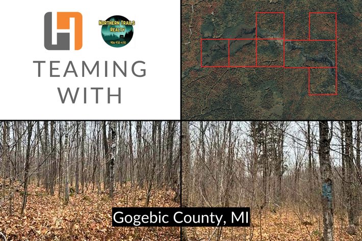 Image for Remote 320± Acre Michigan Parcel - Outdoor Freedom With Forestry Program Perks Near Bessemer - Gogebic County, MI