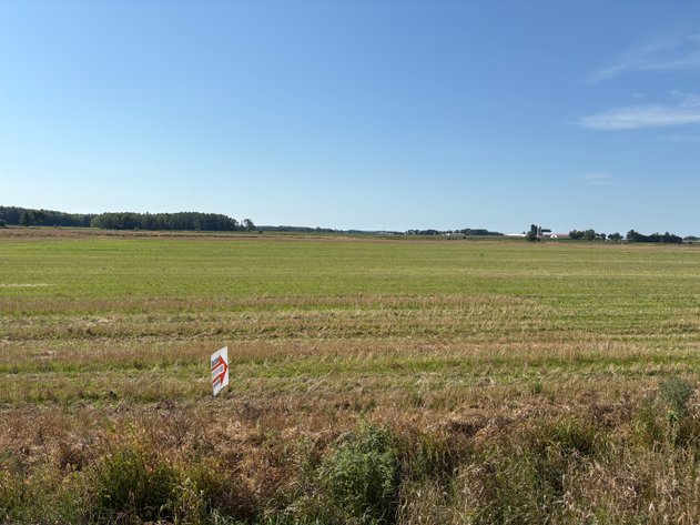 Image for Location, Access & Potential! Build Or Invest Just Minutes From Marshfield & Near Stratford! - Marathon County, WI