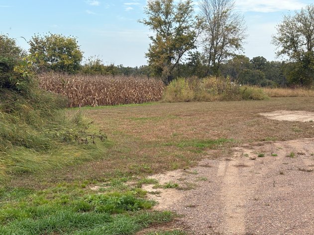 Image for Diverse 3 Parcel Land Auction – From Buildable Acreage To Farmland & Wooded Hunting Tract With Pond Near Arland - Barron County, WI