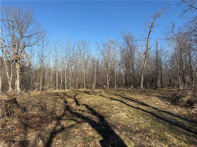 Image for Hard to Find 2.75± Acre Building Site with Proven Deer Activity Near Whitehall - Trempealeau County, WI