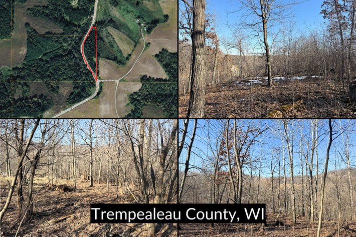 Image for Hard to Find 2.75± Acre Building Site with Proven Deer Activity Near Whitehall - Trempealeau County, WI