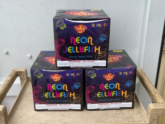 Image for Boom, Bang, Bid Firework Holiday Celebration Auction - Neenah, WI
