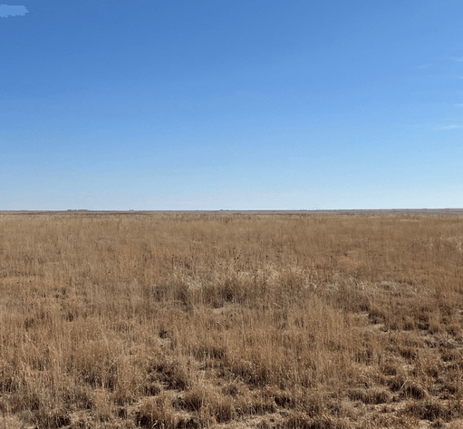 Image for KIOWA COUNTY, COLORADO - CRP (C4077)