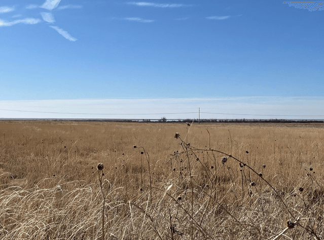 Image for KIOWA COUNTY, COLORADO - CRP (C4077)
