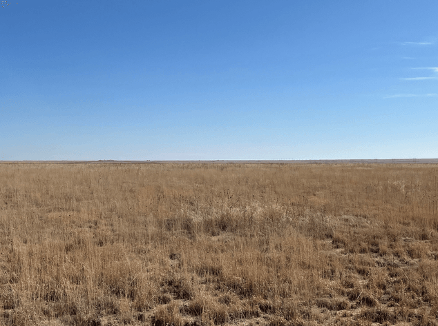 Image for KIOWA COUNTY, COLORADO - CRP (C4077)