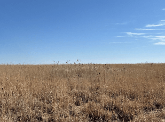 Image for KIOWA COUNTY, COLORADO - CRP (C4077)