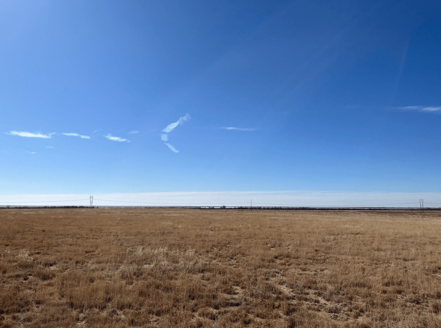 Image for KIOWA COUNTY, COLORADO - CRP (C4077)