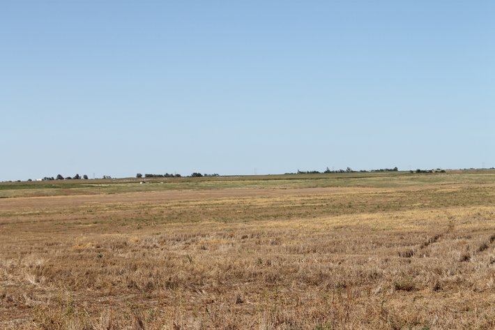 Image for KIOWA COUNTY & BARBER COUNTY, KANSAS-CROPLAND & GRASSLAND