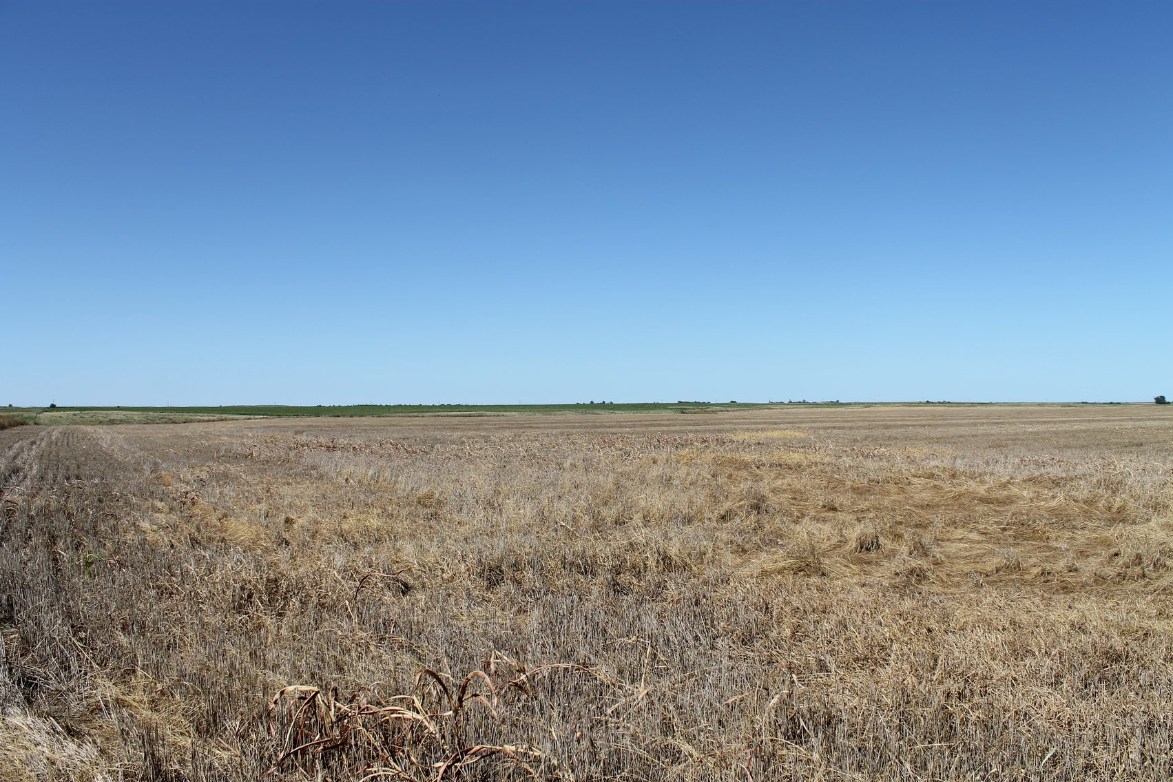 Image for KIOWA COUNTY & BARBER COUNTY, KANSAS-CROPLAND & GRASSLAND
