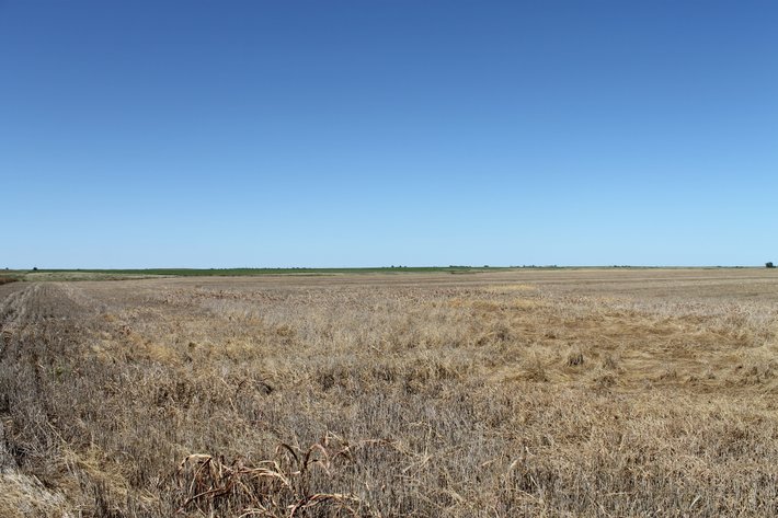 Image for KIOWA COUNTY & BARBER COUNTY, KANSAS-CROPLAND & GRASSLAND