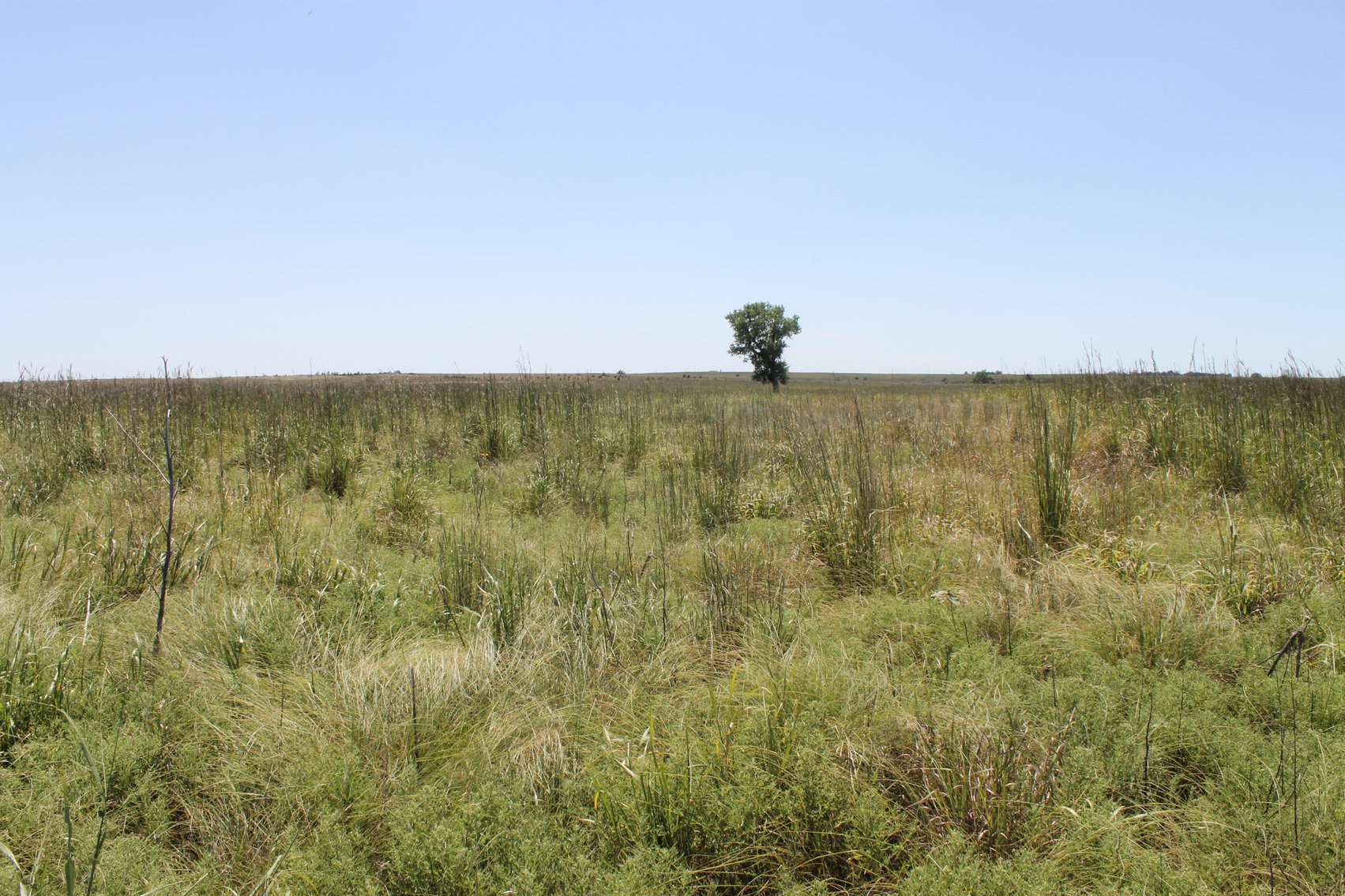 Image for KIOWA COUNTY & BARBER COUNTY, KANSAS-CROPLAND & GRASSLAND