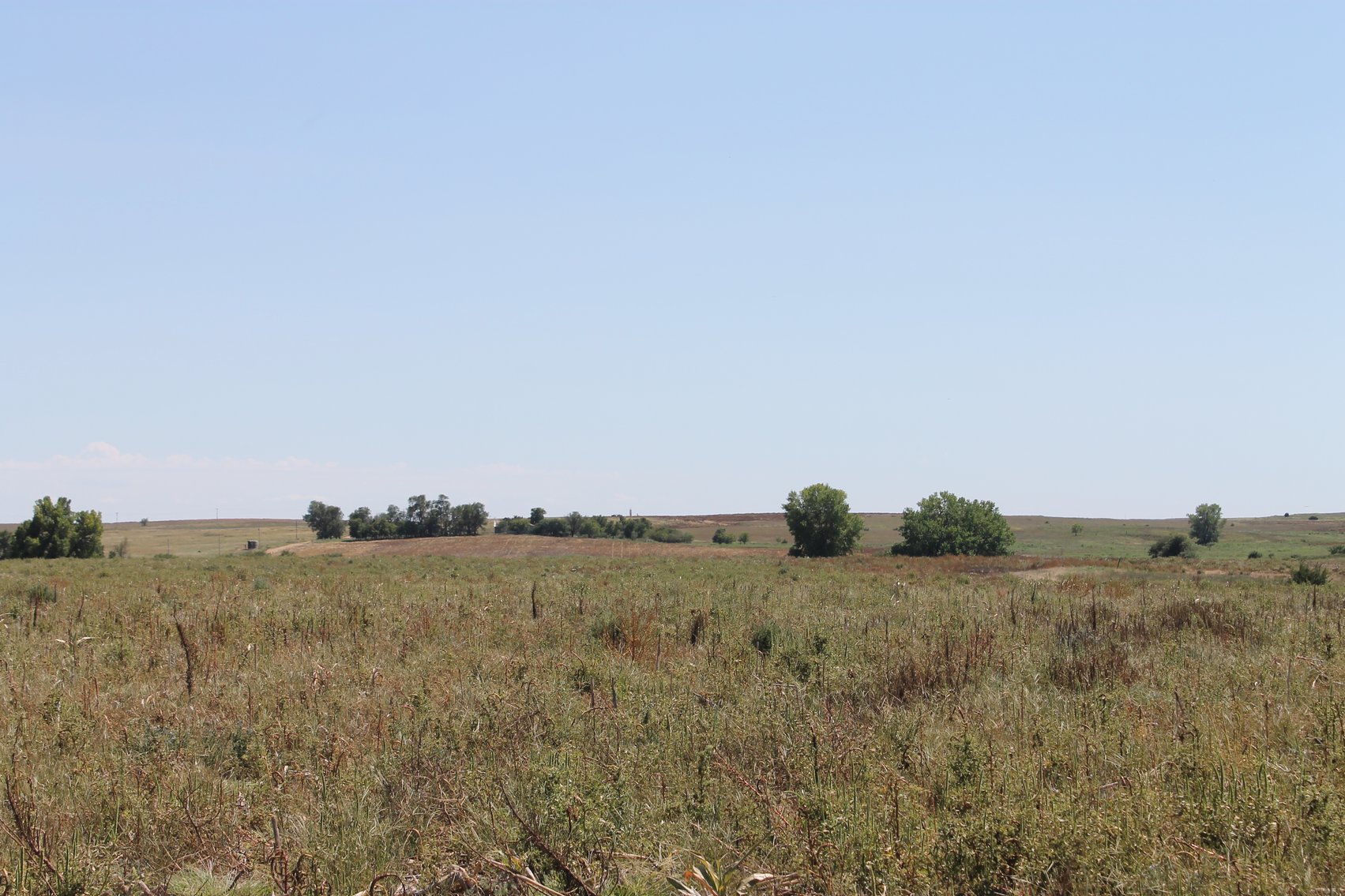 Image for KIOWA COUNTY & BARBER COUNTY, KANSAS-CROPLAND & GRASSLAND