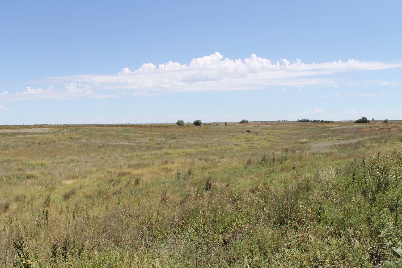 Image for KIOWA COUNTY & BARBER COUNTY, KANSAS-CROPLAND & GRASSLAND