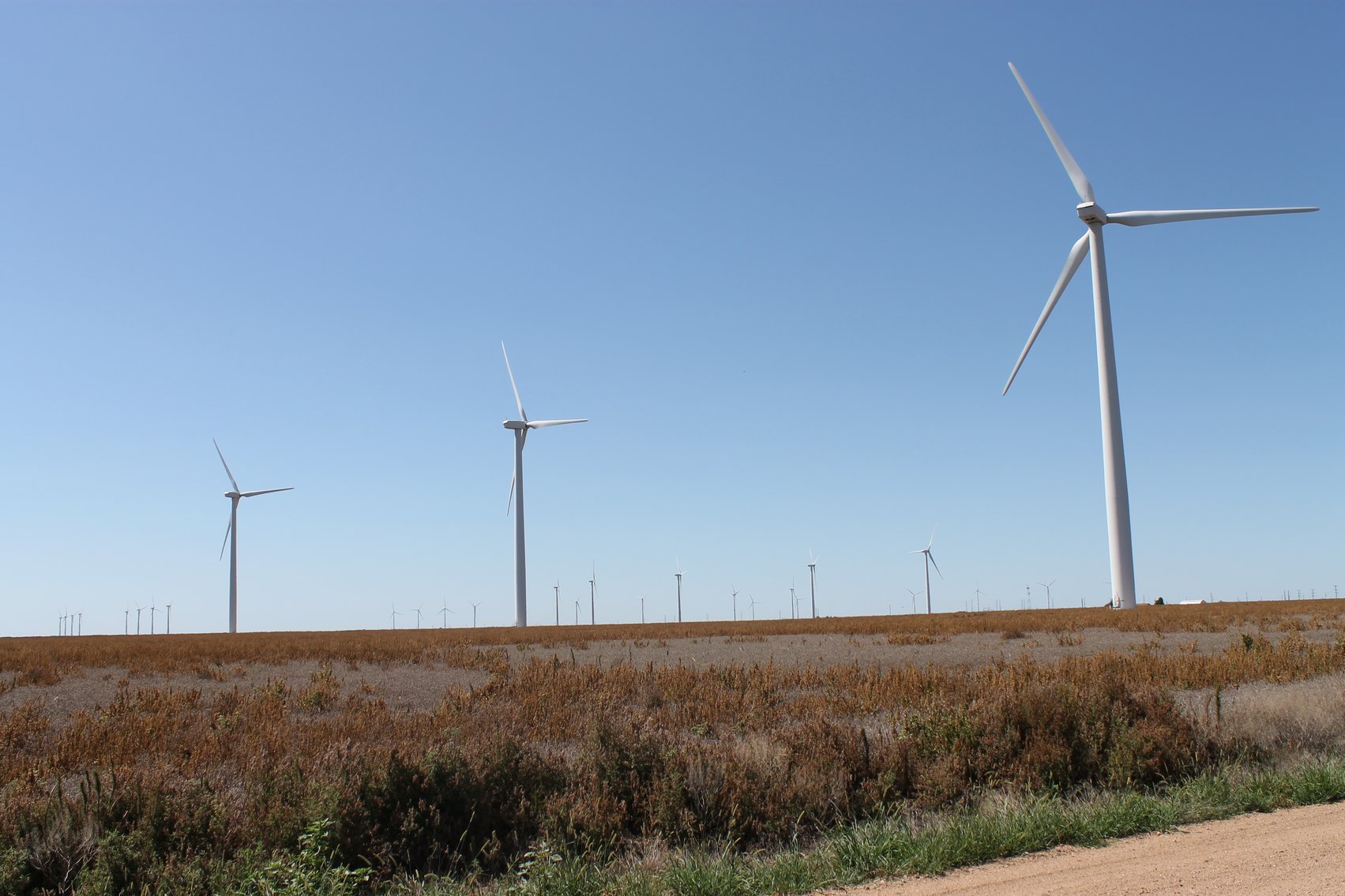 Image for KIOWA COUNTY & BARBER COUNTY, KANSAS-CROPLAND & GRASSLAND