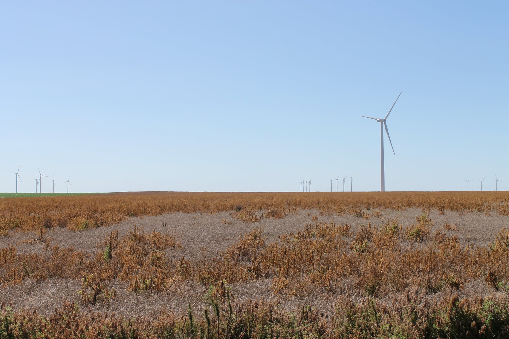 Image for KIOWA COUNTY & BARBER COUNTY, KANSAS-CROPLAND & GRASSLAND