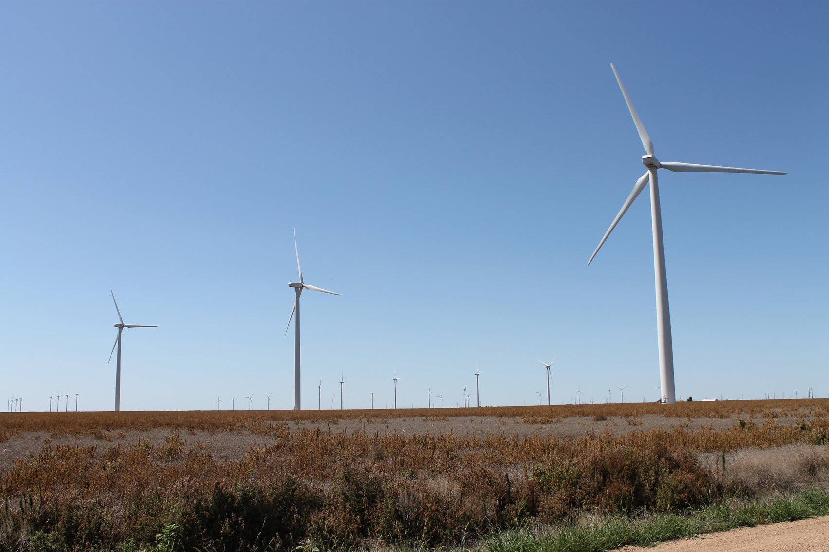Image for KIOWA COUNTY & BARBER COUNTY, KANSAS-CROPLAND & GRASSLAND