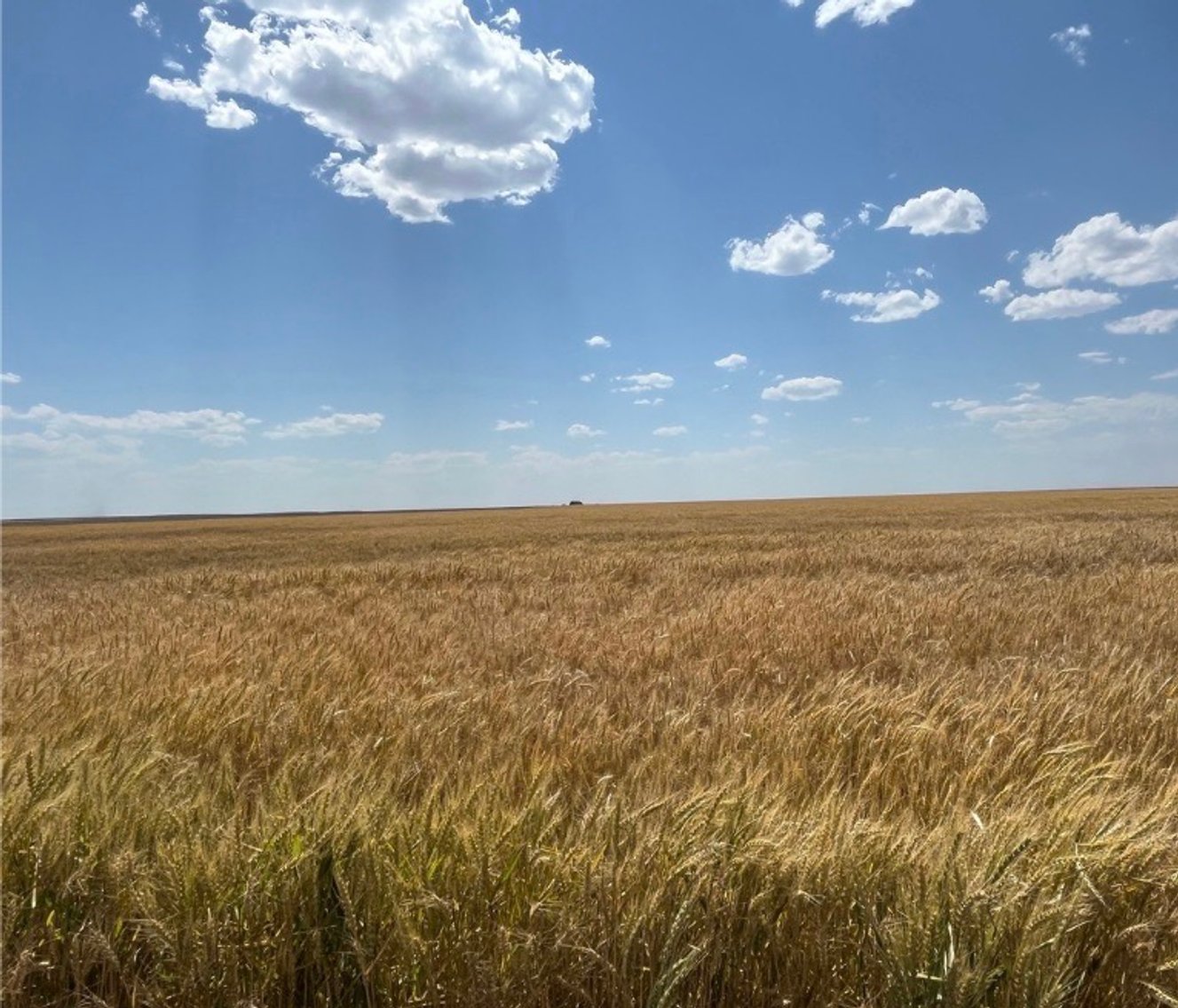 Image for KIT CARSON COUNTY, CO - CROPLAND