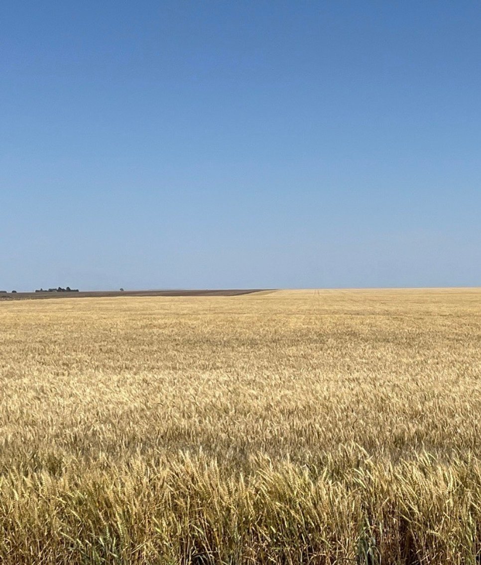 Image for KIT CARSON COUNTY, CO - CROPLAND