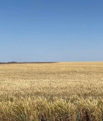 Image for KIT CARSON COUNTY, CO - CROPLAND