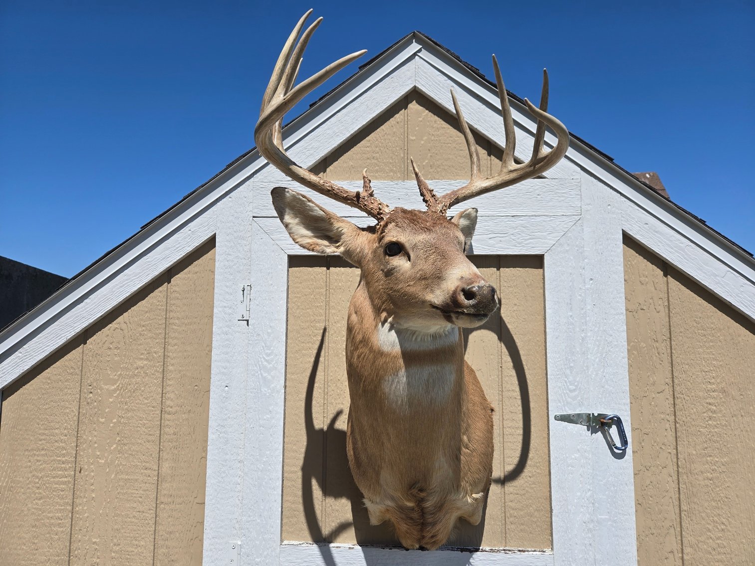 Image for David Lohe Estate