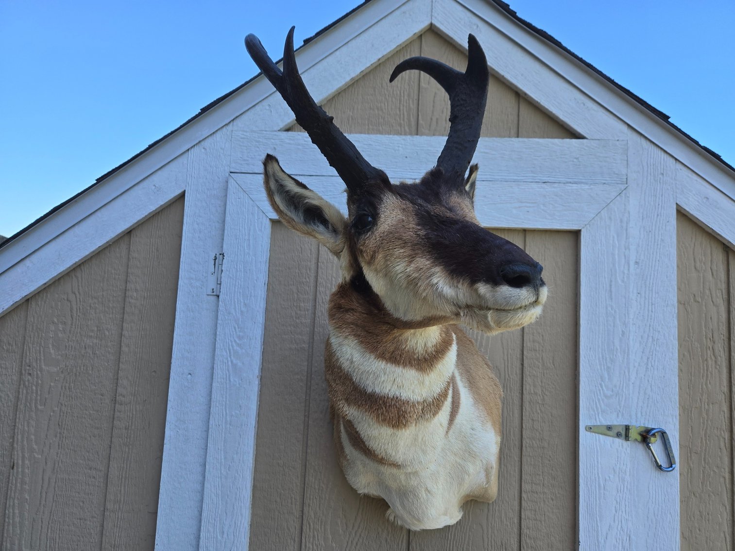 Image for David Lohe Estate