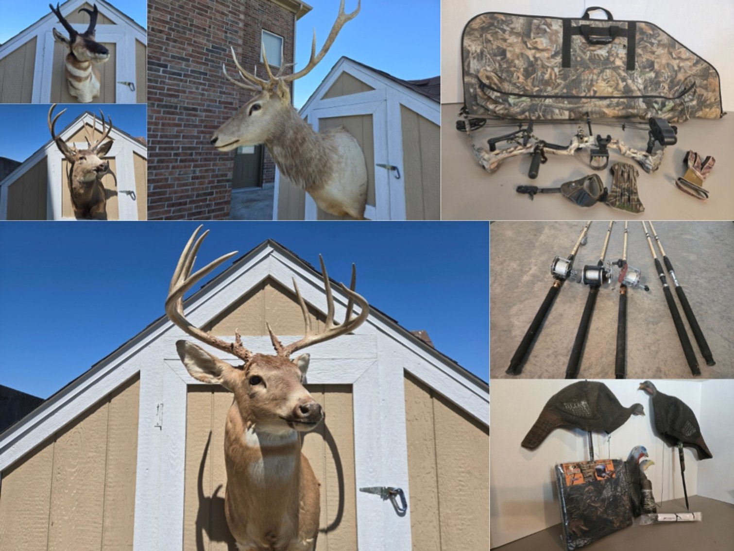 Image for David Lohe Estate