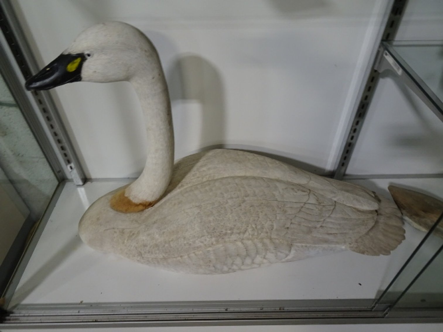 Image for Feb 20, 2025 Public Auction