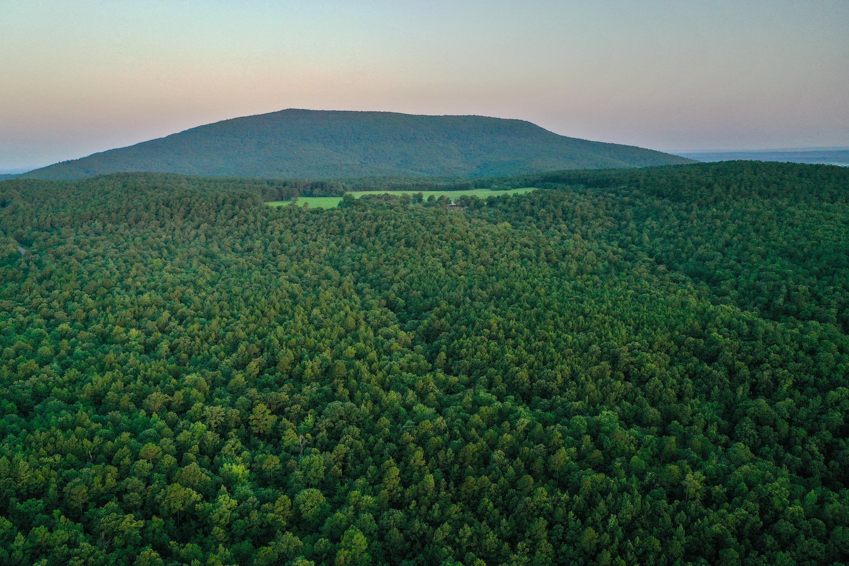 Image for Mena Timber Land | 4,636 Acres Auction