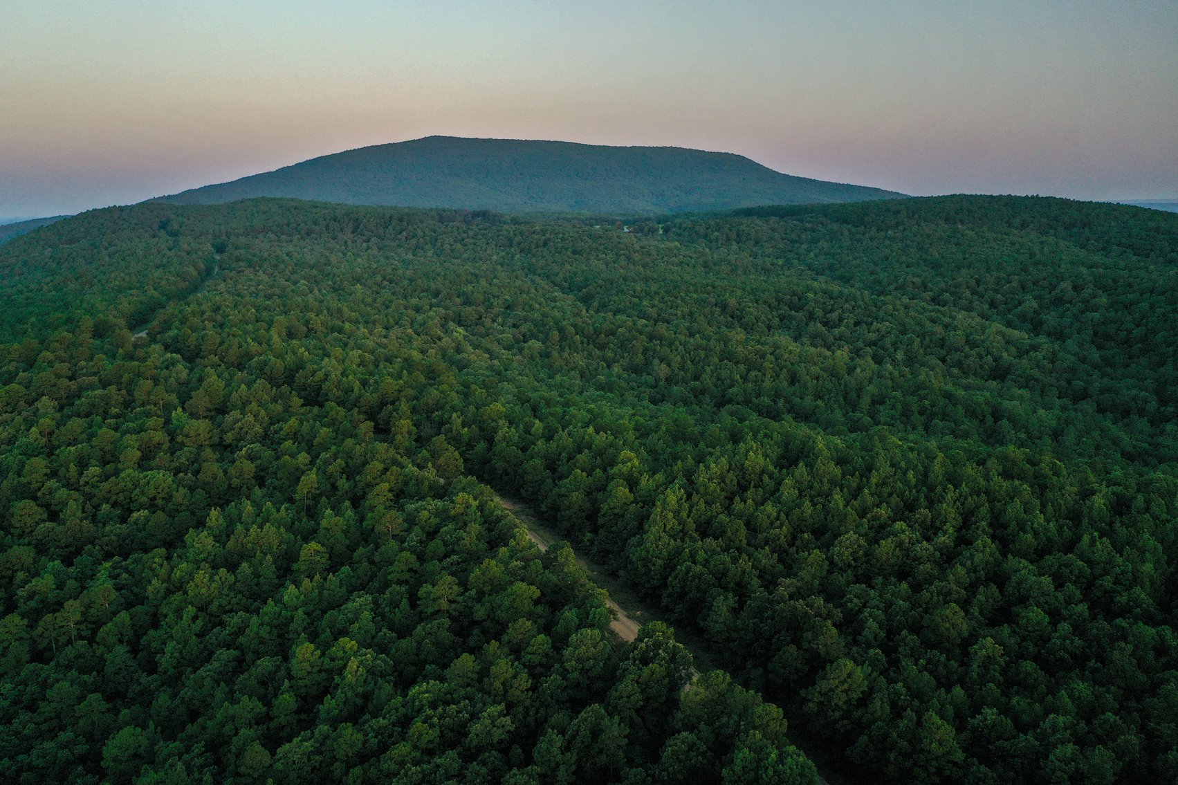 Image for Mena Timber Land | 4,636 Acres Auction