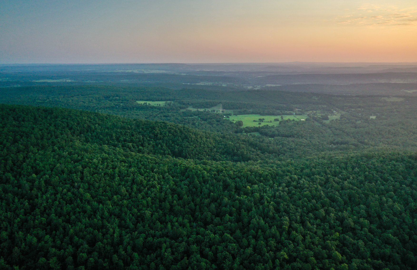 Image for Mena Timber Land | 4,636 Acres Auction