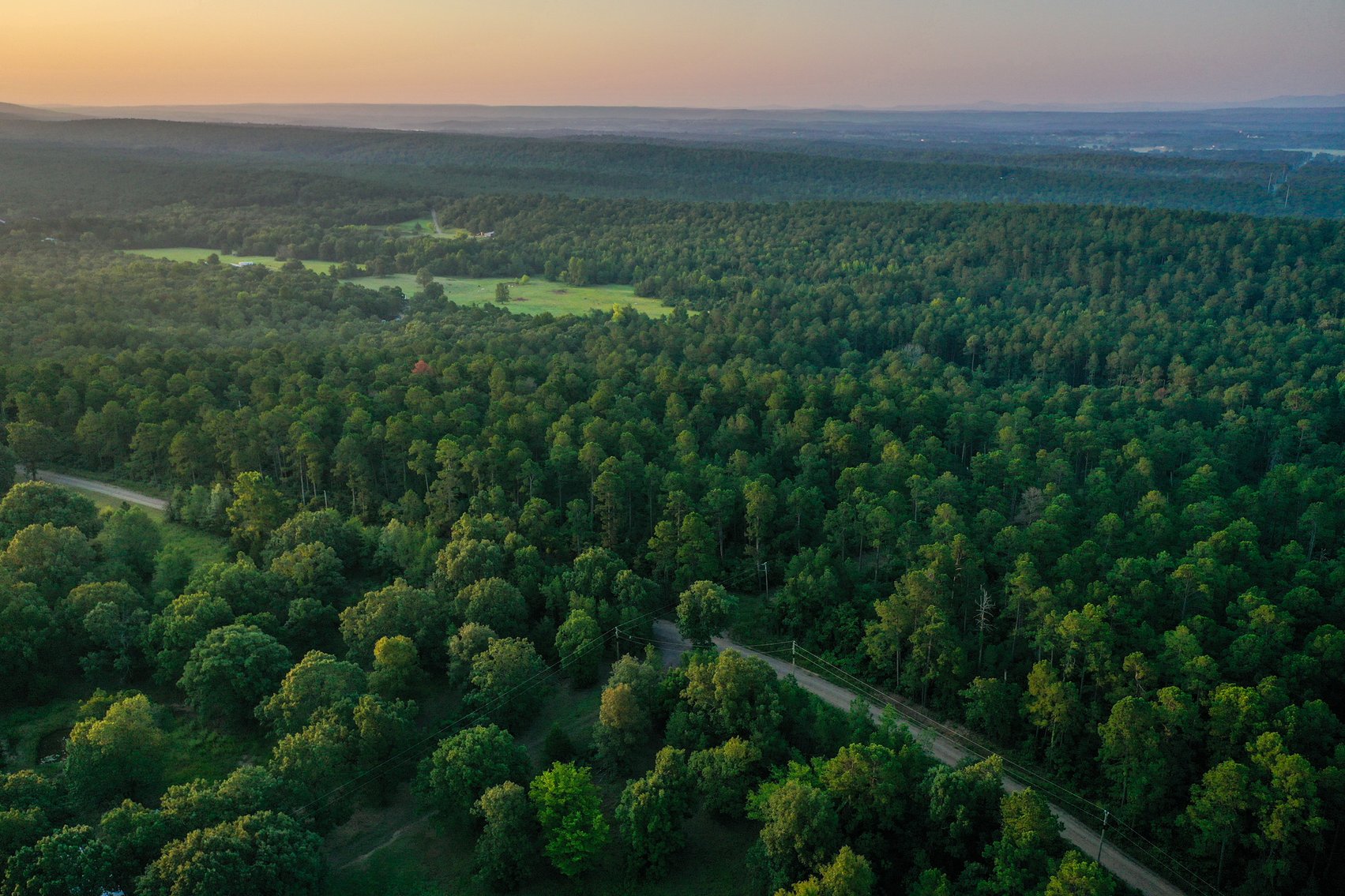 Image for Mena Timber Land | 4,636 Acres Auction