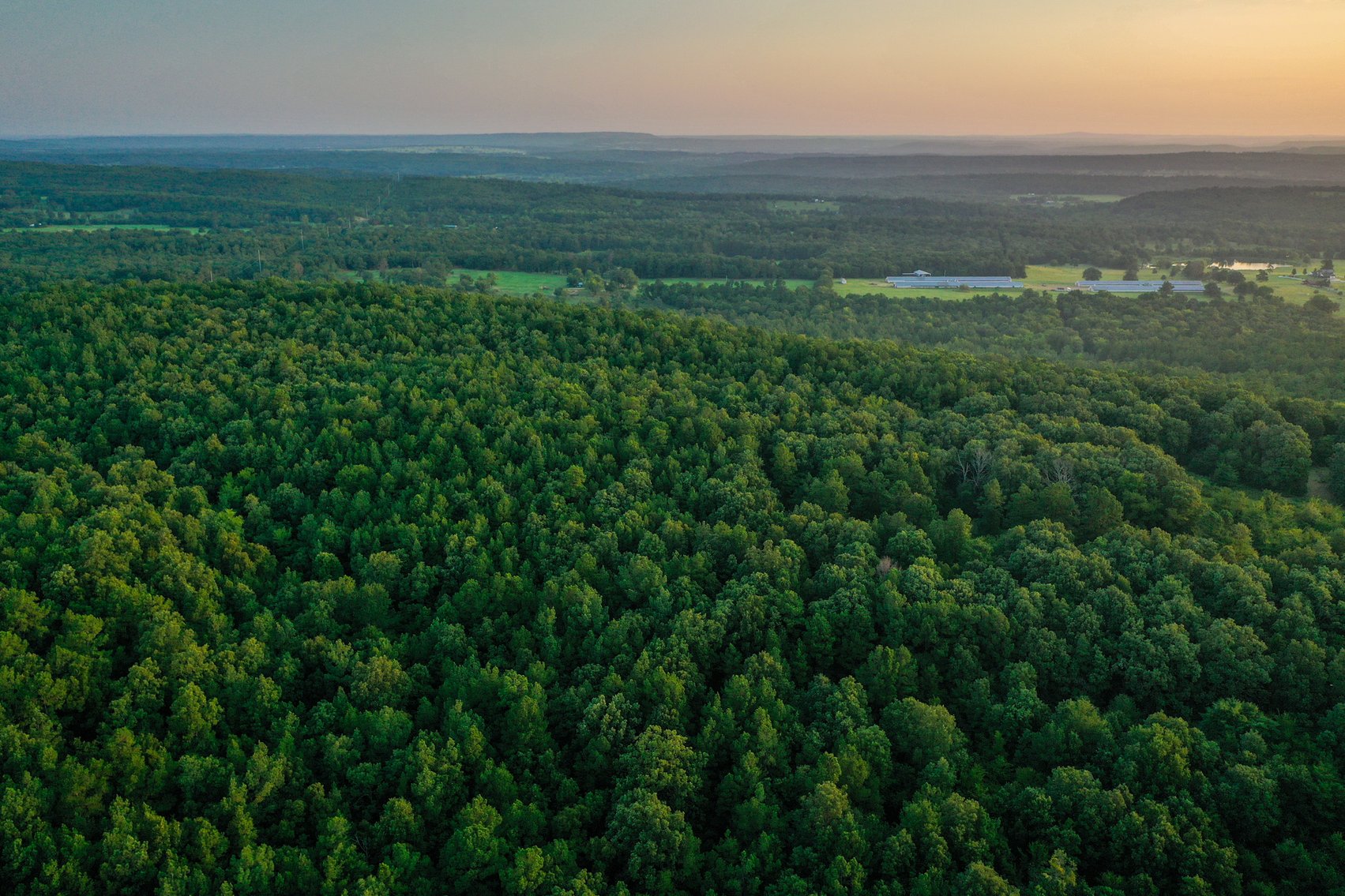 Image for Mena Timber Land | 4,636 Acres Auction