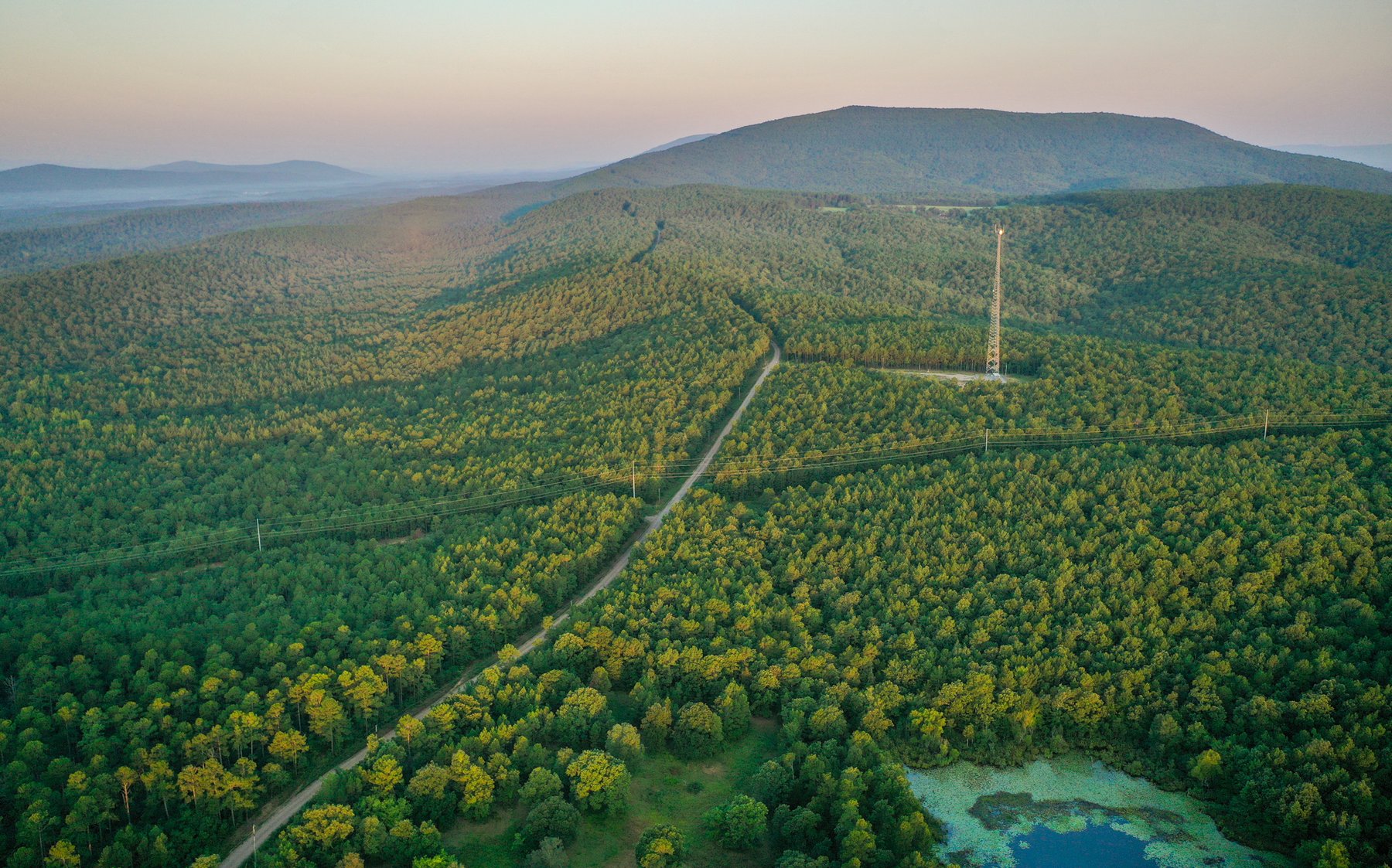 Image for Mena Timber Land | 4,636 Acres Auction