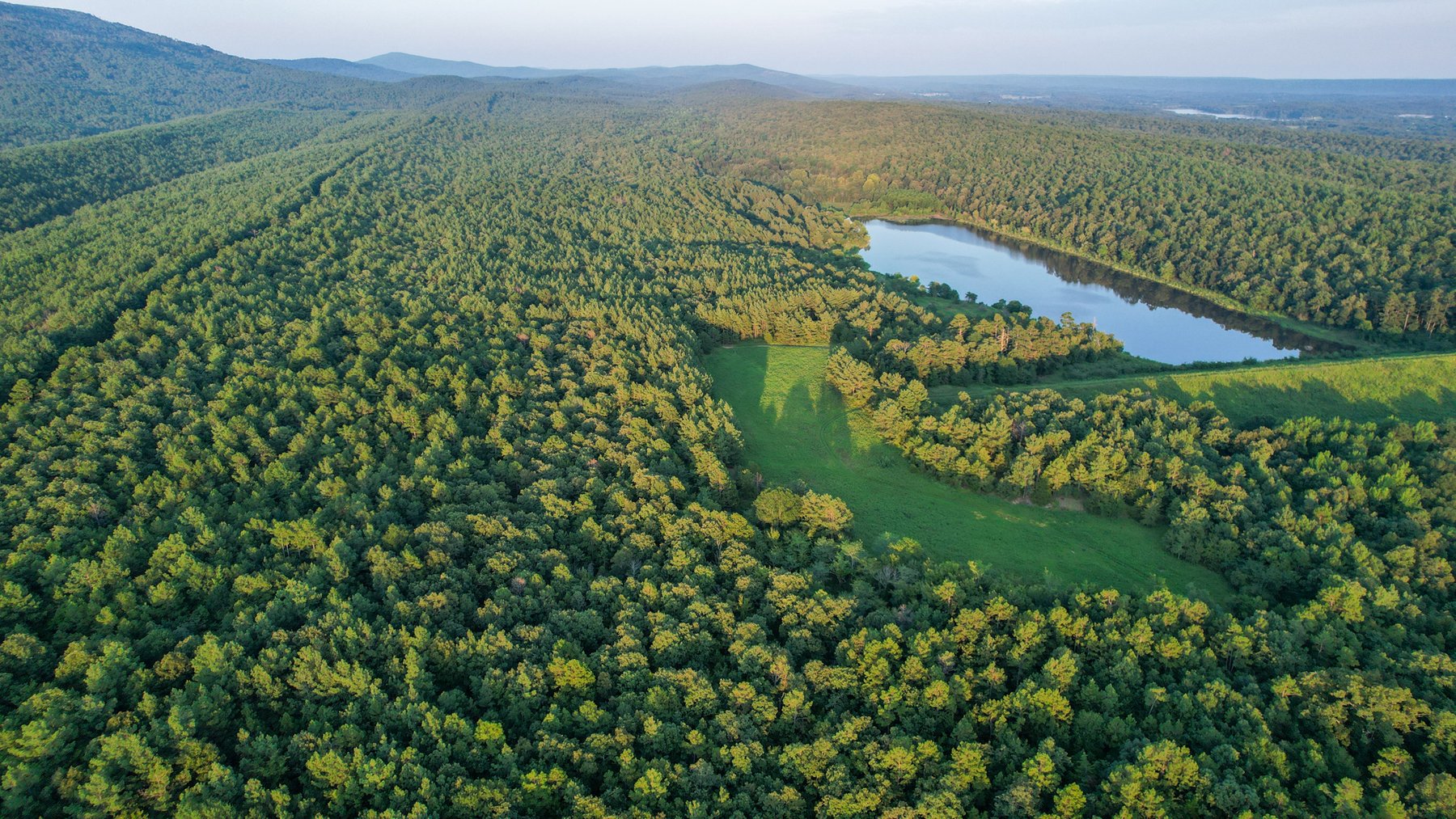 Image for Mena Timber Land | 4,636 Acres Auction