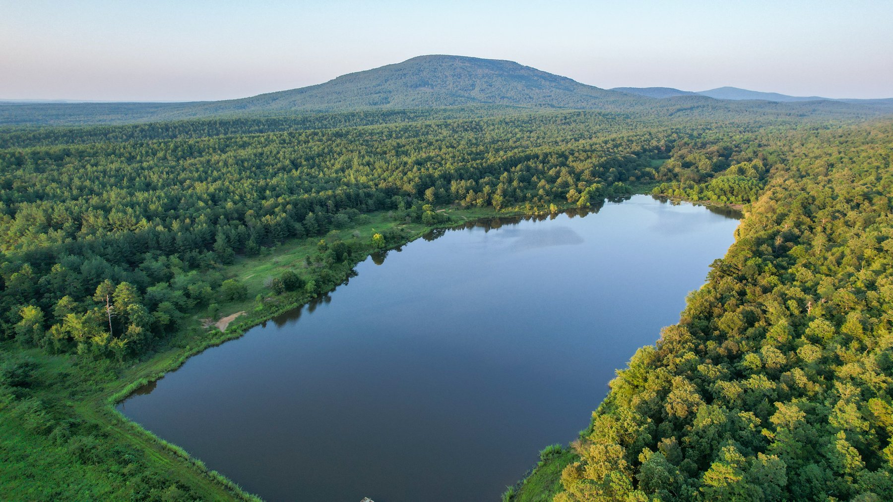 Image for Mena Timber Land | 4,636 Acres Auction