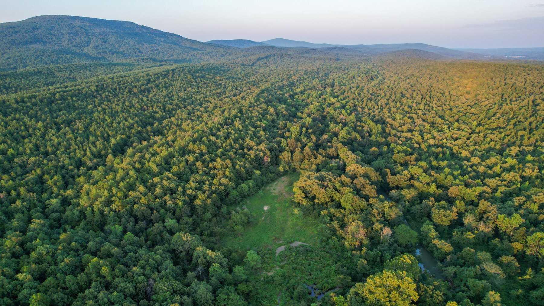 Image for Mena Timber Land | 4,636 Acres Auction